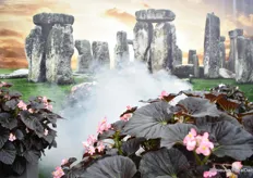 De rook die de mystieke sfeer creëert bij Stonehedge.